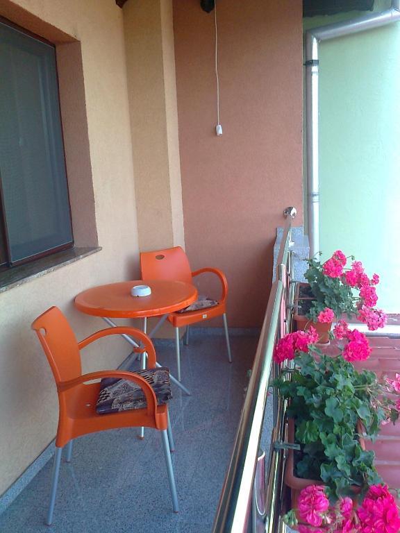 Pensiunea Select Arad Zimmer foto